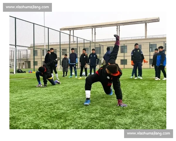 青少年足球培养体系建设与技能提升模式探索